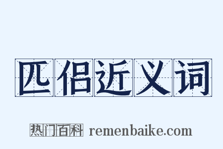匹侣近义词是什么意思的图片